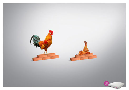Springwel by Dentsu