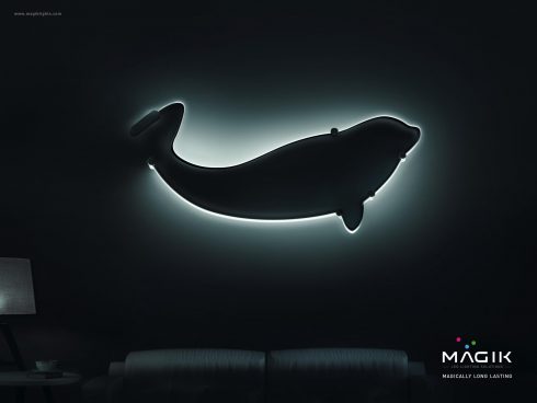 Magik Lights by SOS Kolkata