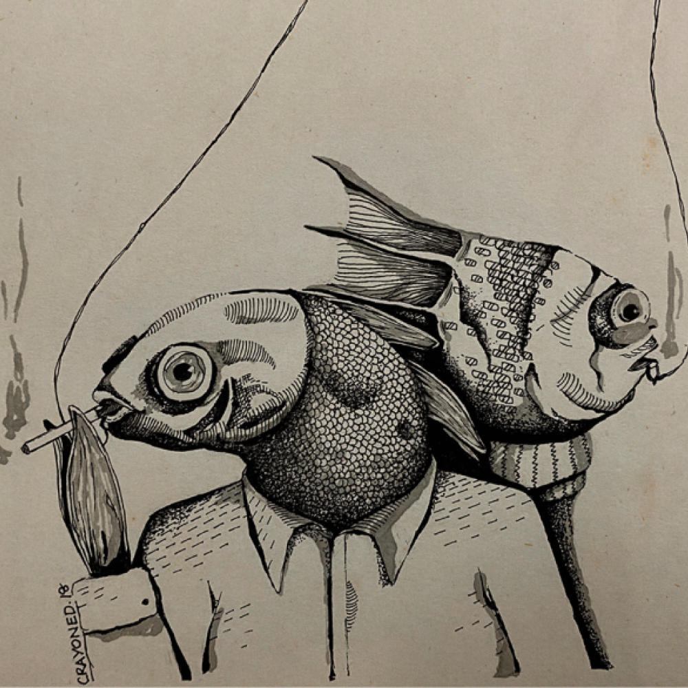 Tanya Mehtani Illustration and Graphic Design